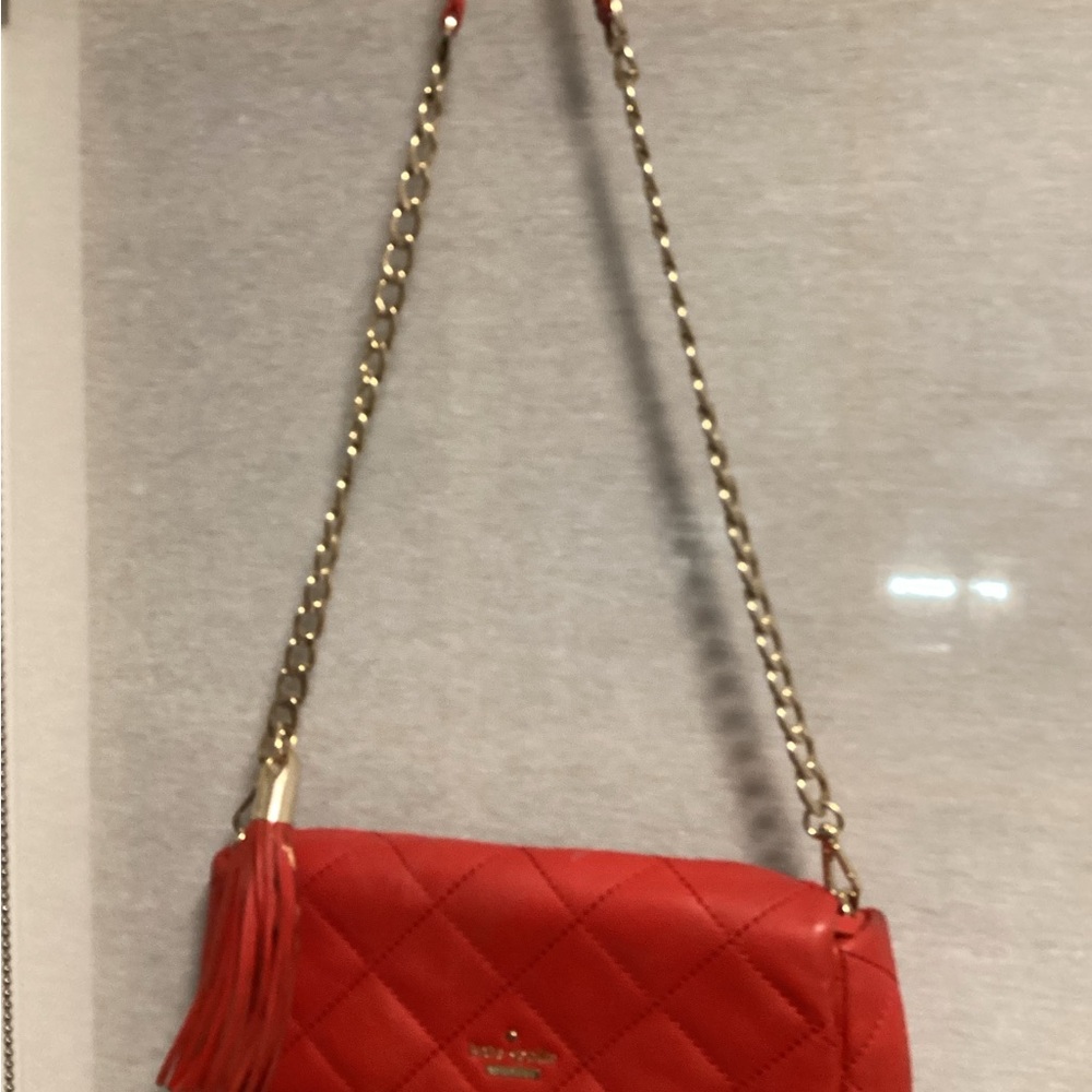 Kate Spade mini  purse Well Loved
